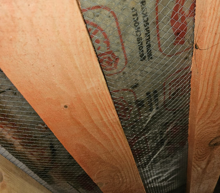 Төменгі еденнің мембранасы