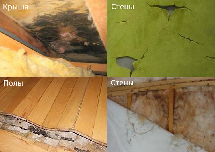 Жыныстағы гетеро деген не?